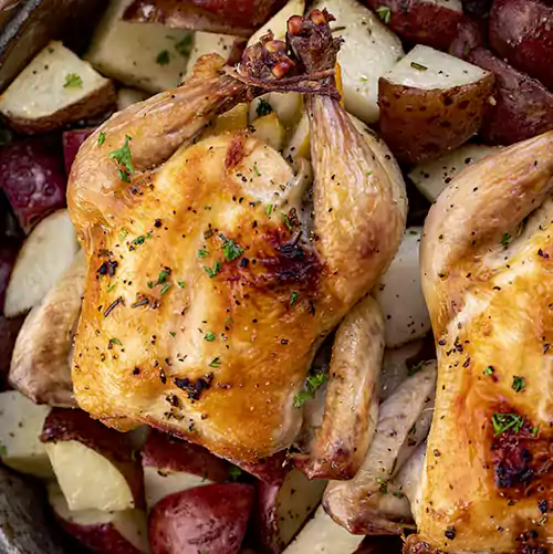 Cornish Game Hens 2
