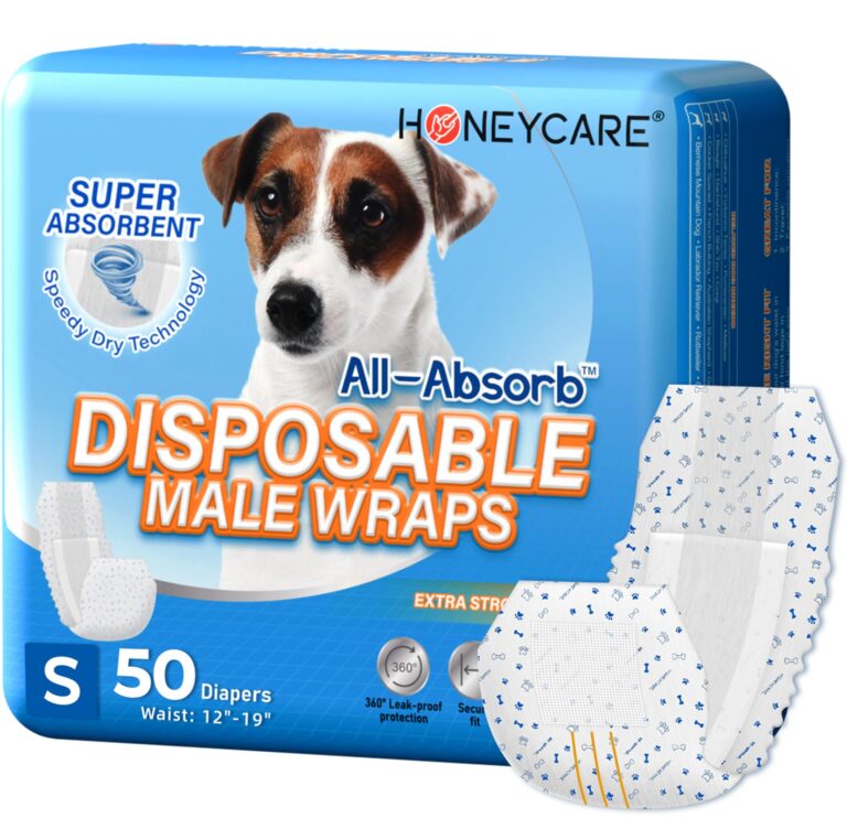 Best Dog Diapers
